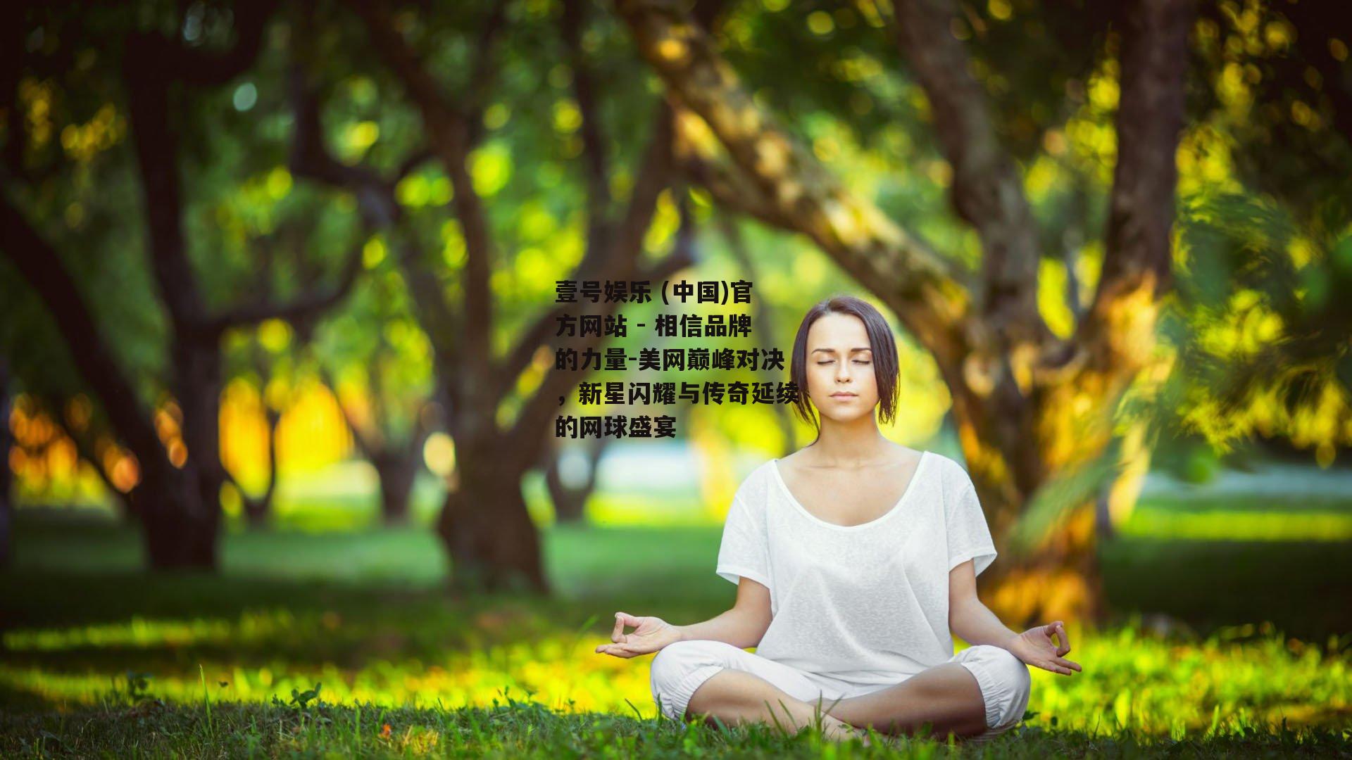 美网巅峰对决，新星闪耀与传奇延续的网球盛宴
